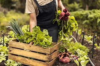 Understanding Agriculture Industry