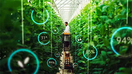 About Agriculture Industry