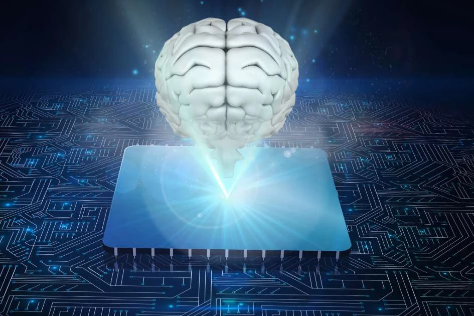More brains, less bloat