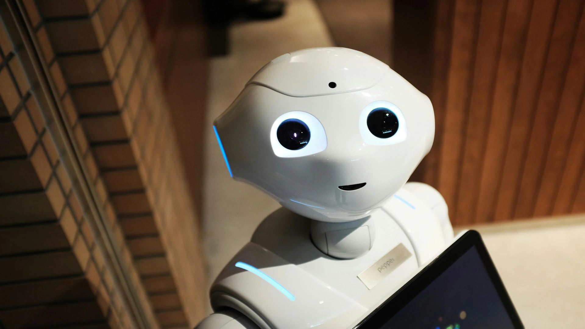 turning-chatbots-into-real-bots