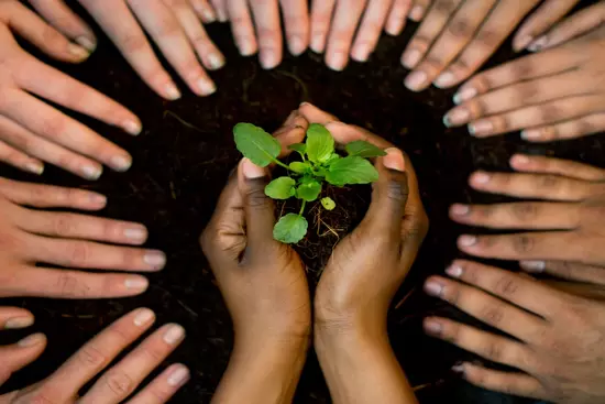 Values in Action: Sustainability in Tech