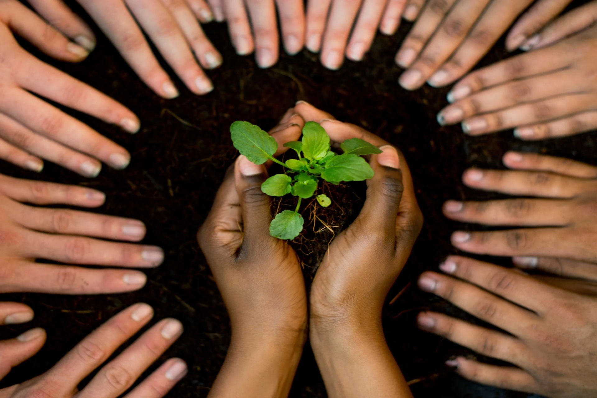 Values in Action: Sustainability in Tech