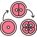 Shuffling and Splitting
