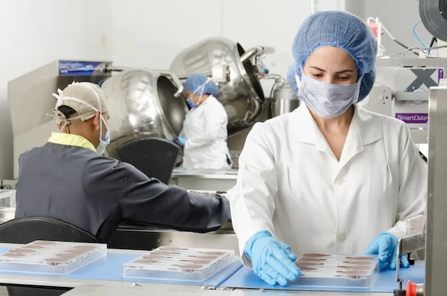 Understanding Processed Food Industry