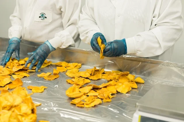 Processed Food Industry Consultance
