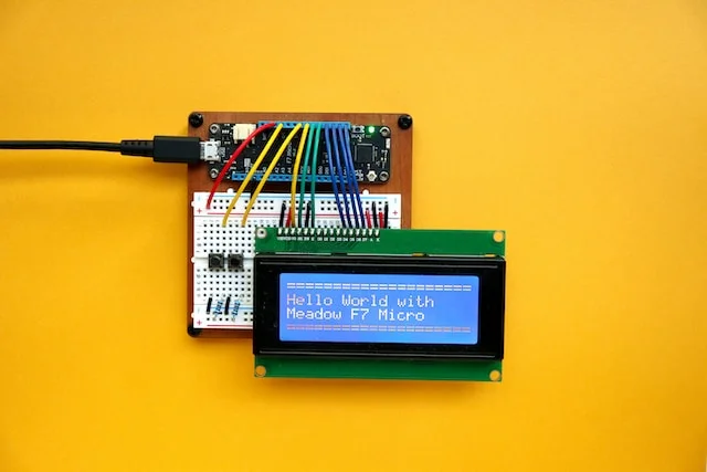 Understanding the Internet of Things